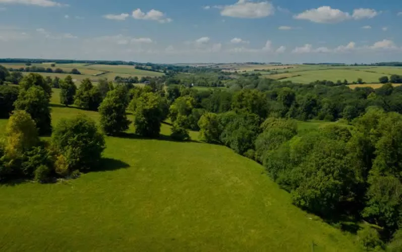 Estate Property Welford Park